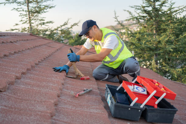 Best Roof Repair Services  in Perry, KS